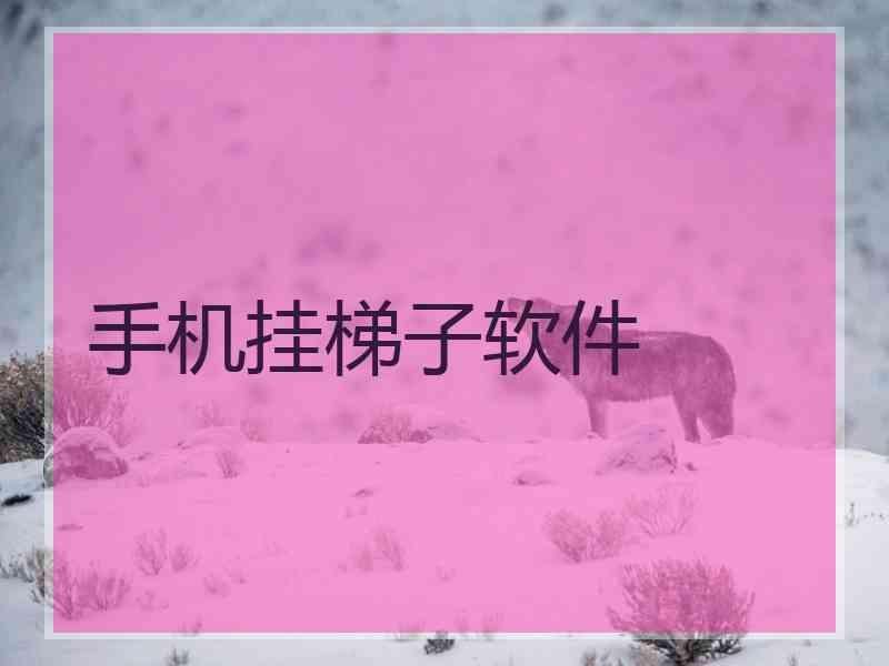 手机挂梯子软件 手机挂梯子软件